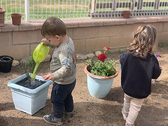 L'hort a Cal Belluguets