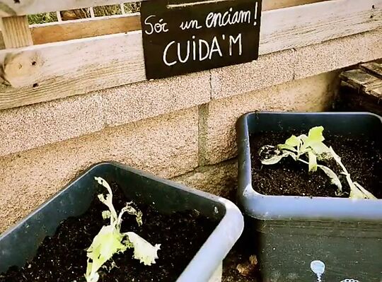 El huerto a Cal Belluguets