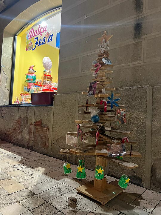 Arbres de Nadal